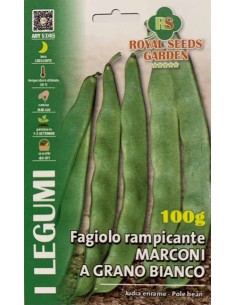 SEMI FAGIOLO RAMPICANTE MARCONI A GRANO BIANCO