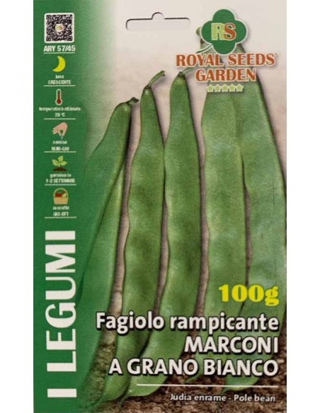SEMI FAGIOLO RAMPICANTE MARCONI A GRANO BIANCO