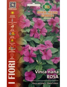 SEMI VINCA ROSEA NANA fioritura abbondante e prolungata