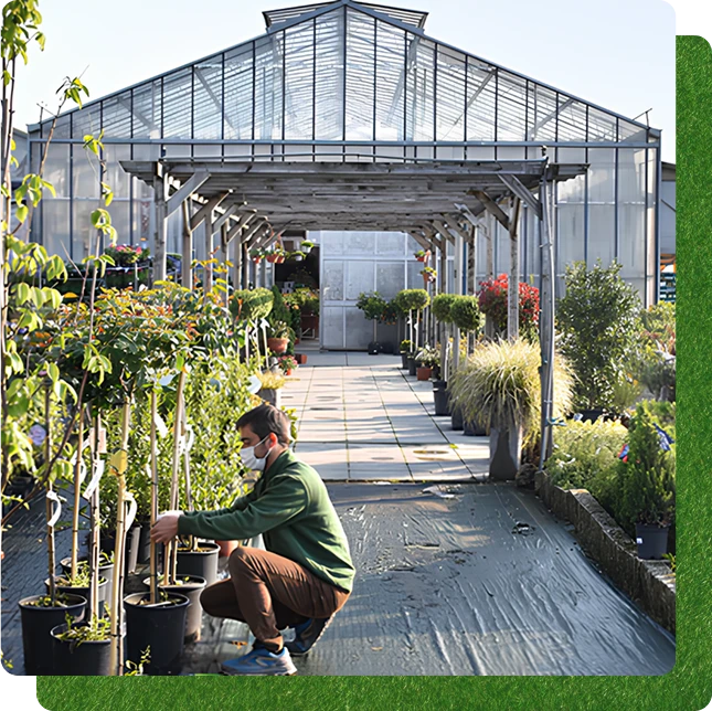 Garden center, vendita piante online e servizi di giardinaggio