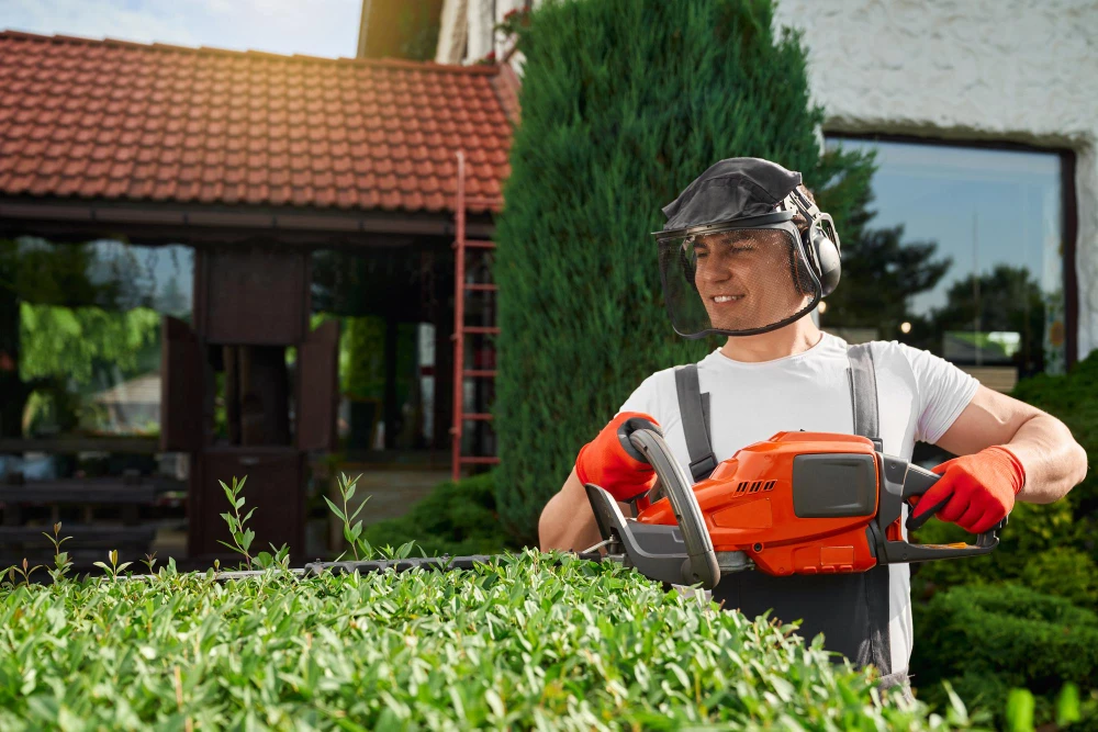 Servizi di Giardinaggio a Domicilio