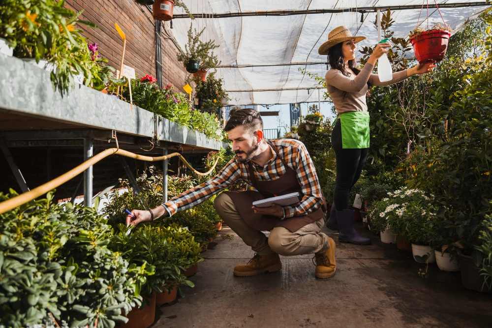 Vendita Piante e Articoli per il Giardinaggio Online