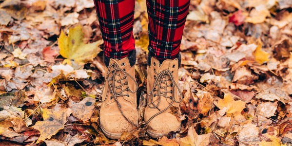 Come rimuovere le foglie dal giardino e come smaltirle? La guida passo per passo per un giardino perfetto in ogni stagione