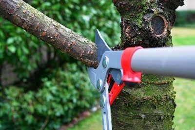 Tagli di ritorno: cosa sono e come funzionanto