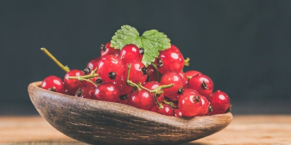 Ribes rosso: proprietà, benefici, utilizzi in cucina e come coltivarlo