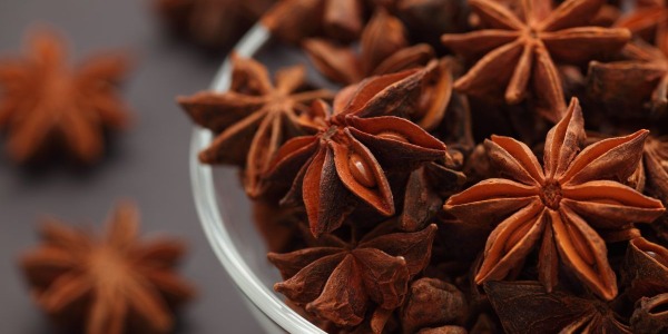 Grappa all'Anice Stellato: ingredienti e come si prepara