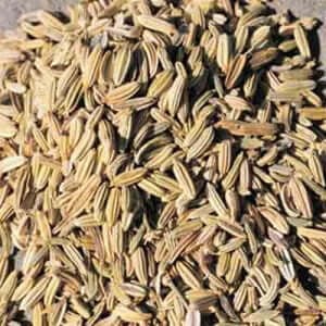 Grappa al finocchio selvatico: ingredienti, ricetta e preparazione