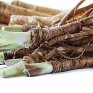 Grappa Angelica