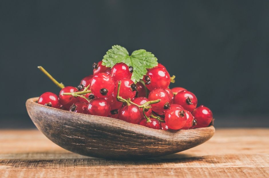 Ribes rosso: proprietà, benefici, utilizzi in cucina e come coltivarlo