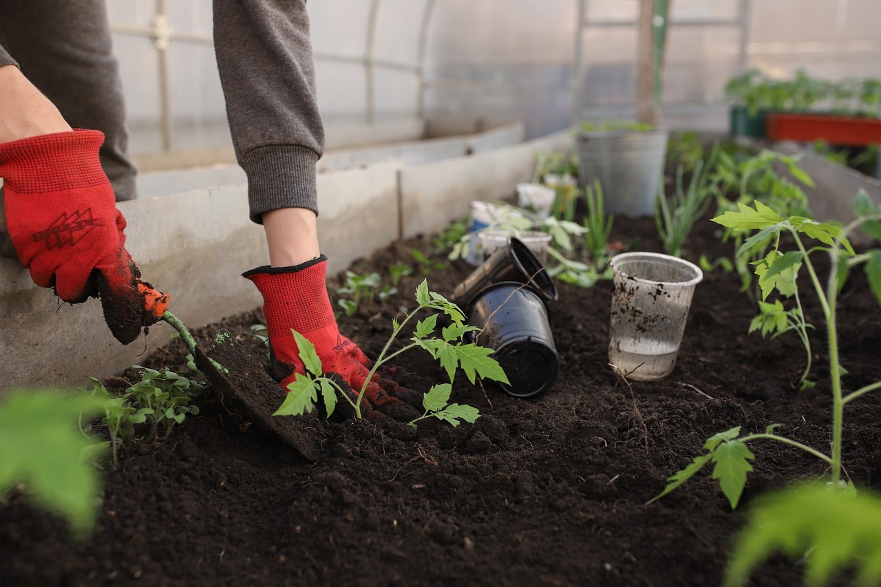 I lavori di giardinaggio in inverno: ecco gli interventi necessari per proteggere dal gelo le tue piante e il tuo giardino
