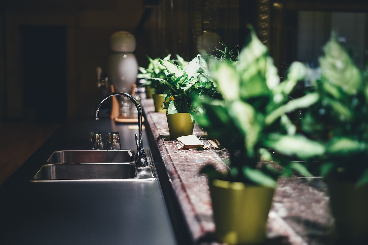 Come e quando concimare le piante da appartamento: scopri come nutrire le tue piante in casa