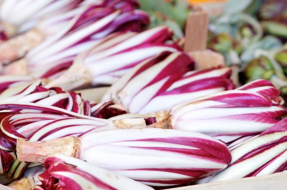 Grappa Trevisana: la ricetta e come preparare in casa il digestivo al radicchio rosso di Treviso